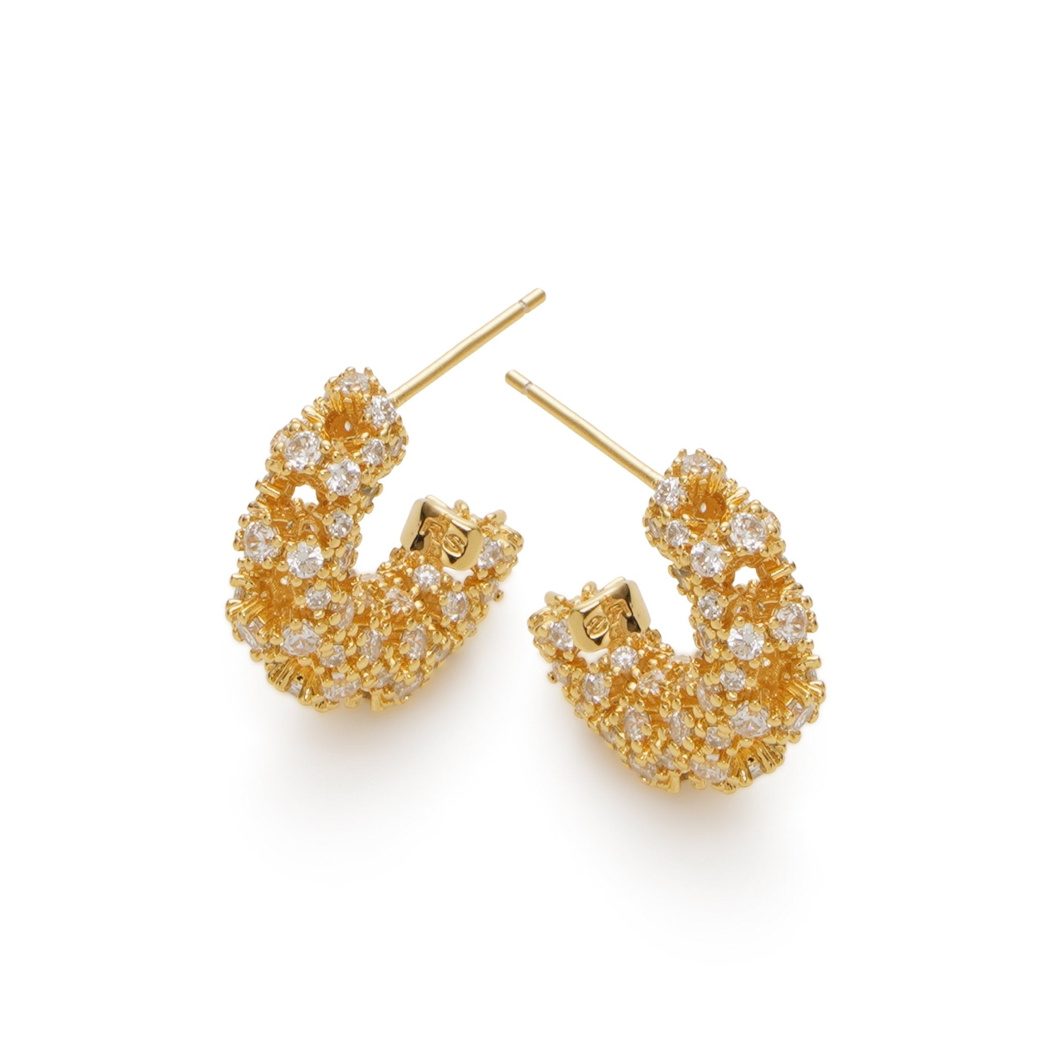 RSNY Crystal Diamond Claw Set Earrings - R2219B