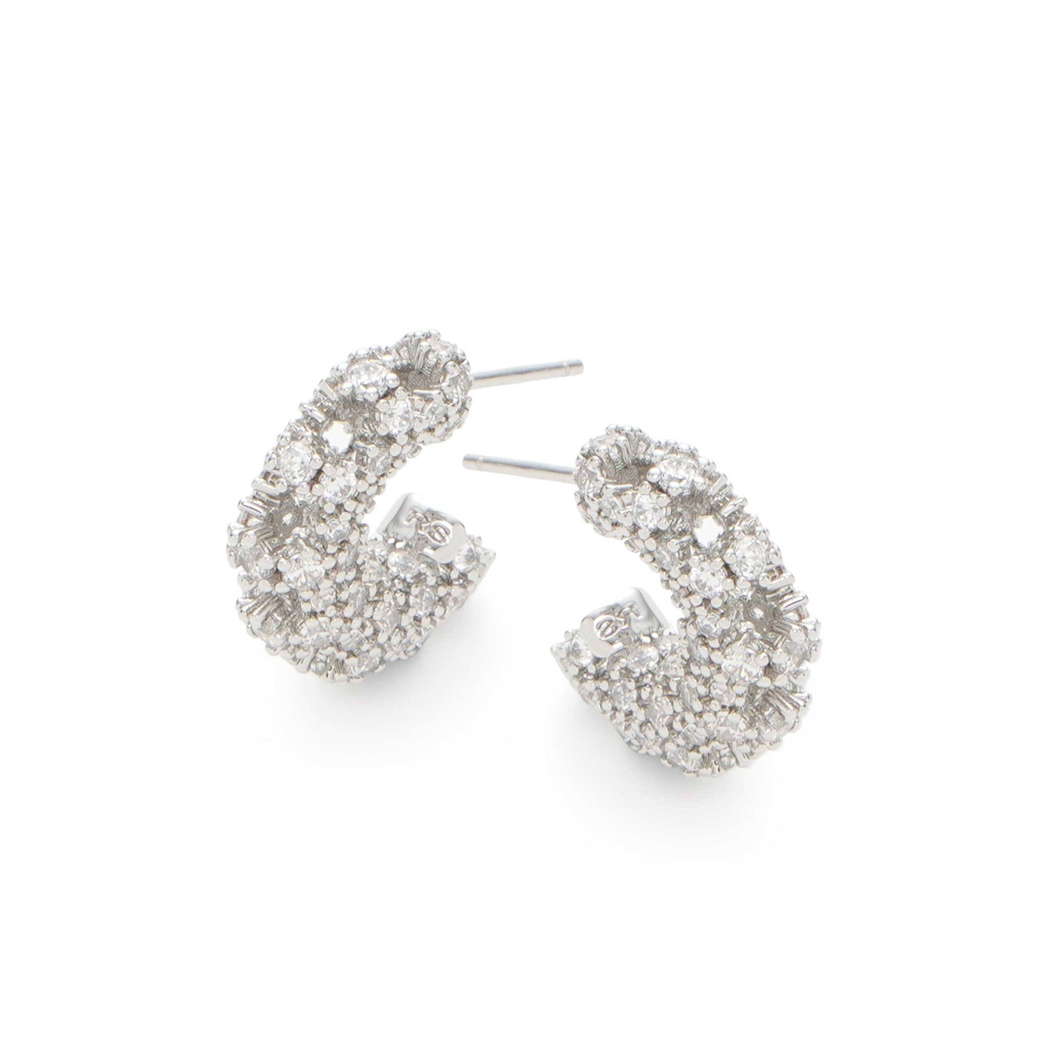 RSNY Crystal Diamond Claw Set Earrings - R2219A