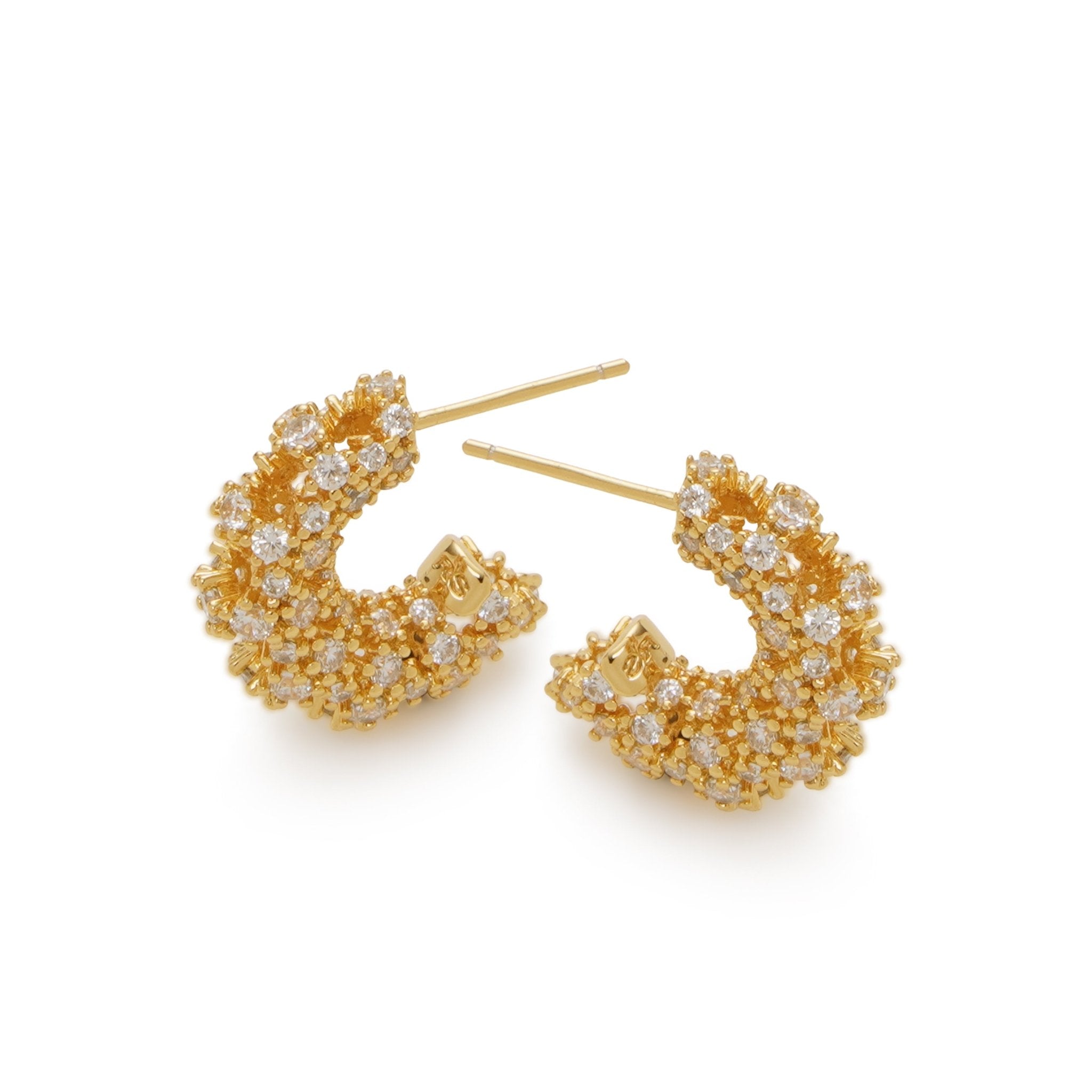 RSNY Crystal Diamond Claw Set Earrings - R2219B