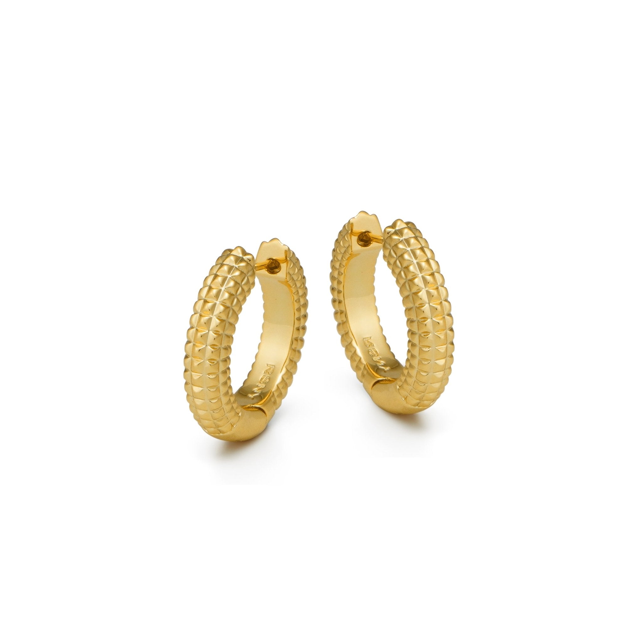 RSNY Diamond Textured Earrings - R2020B