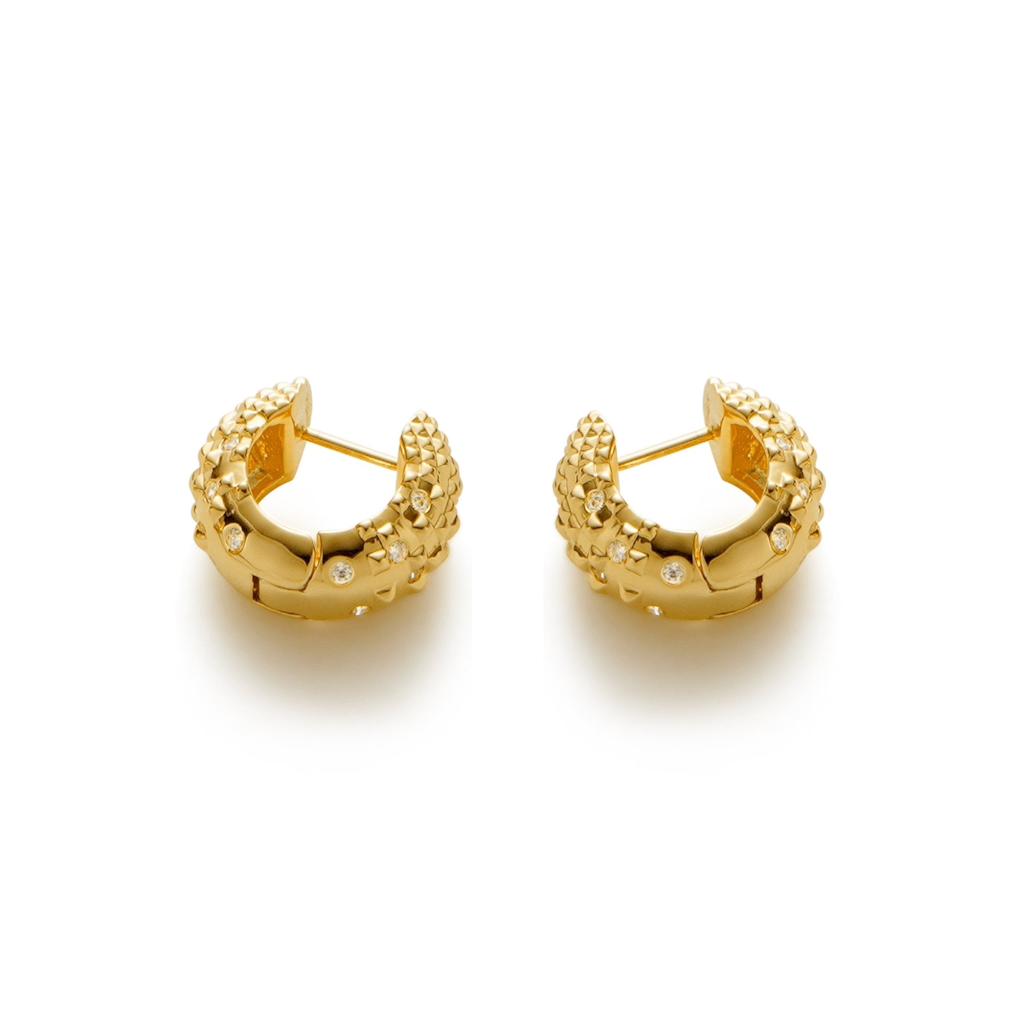 RSNY Diamond Textured Earrings - R2140B