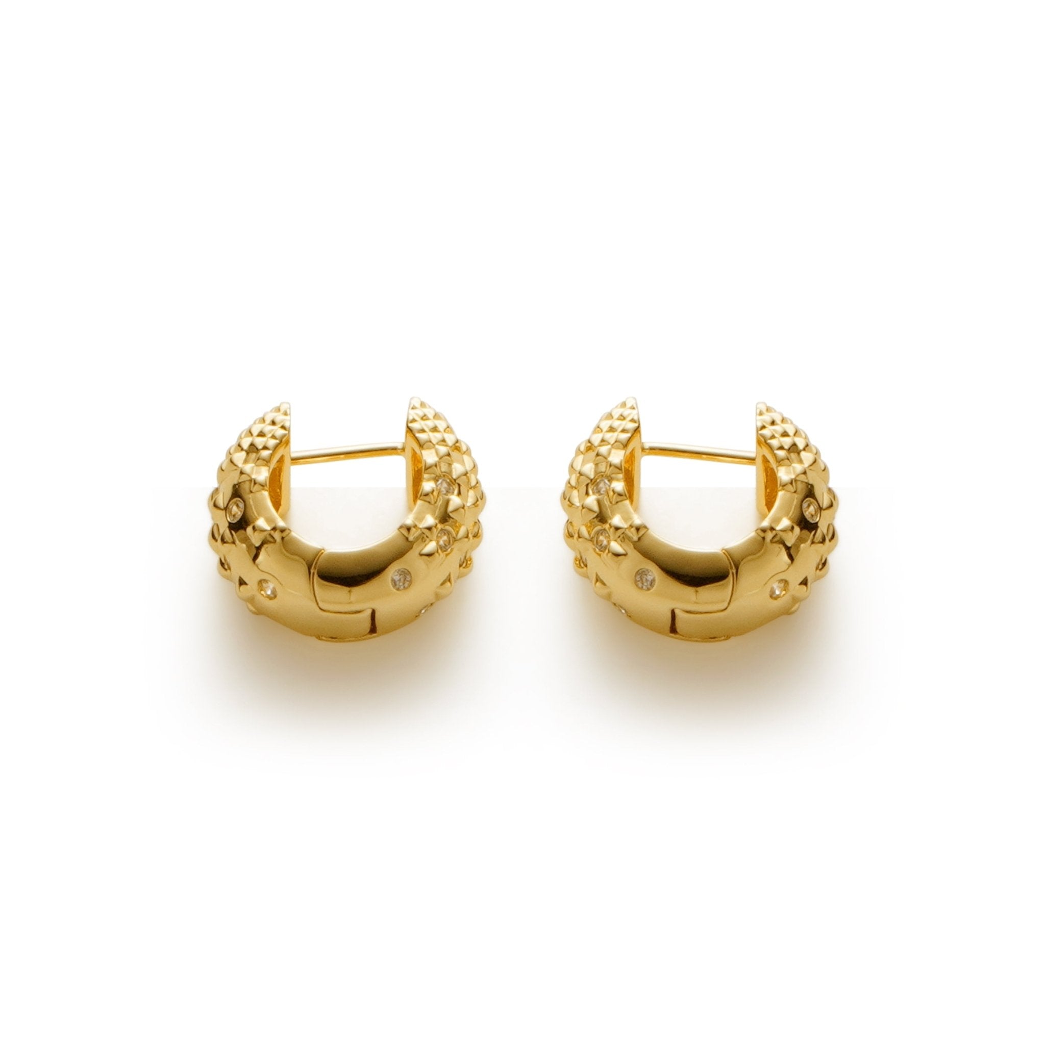 RSNY Diamond Textured Earrings - R2140B