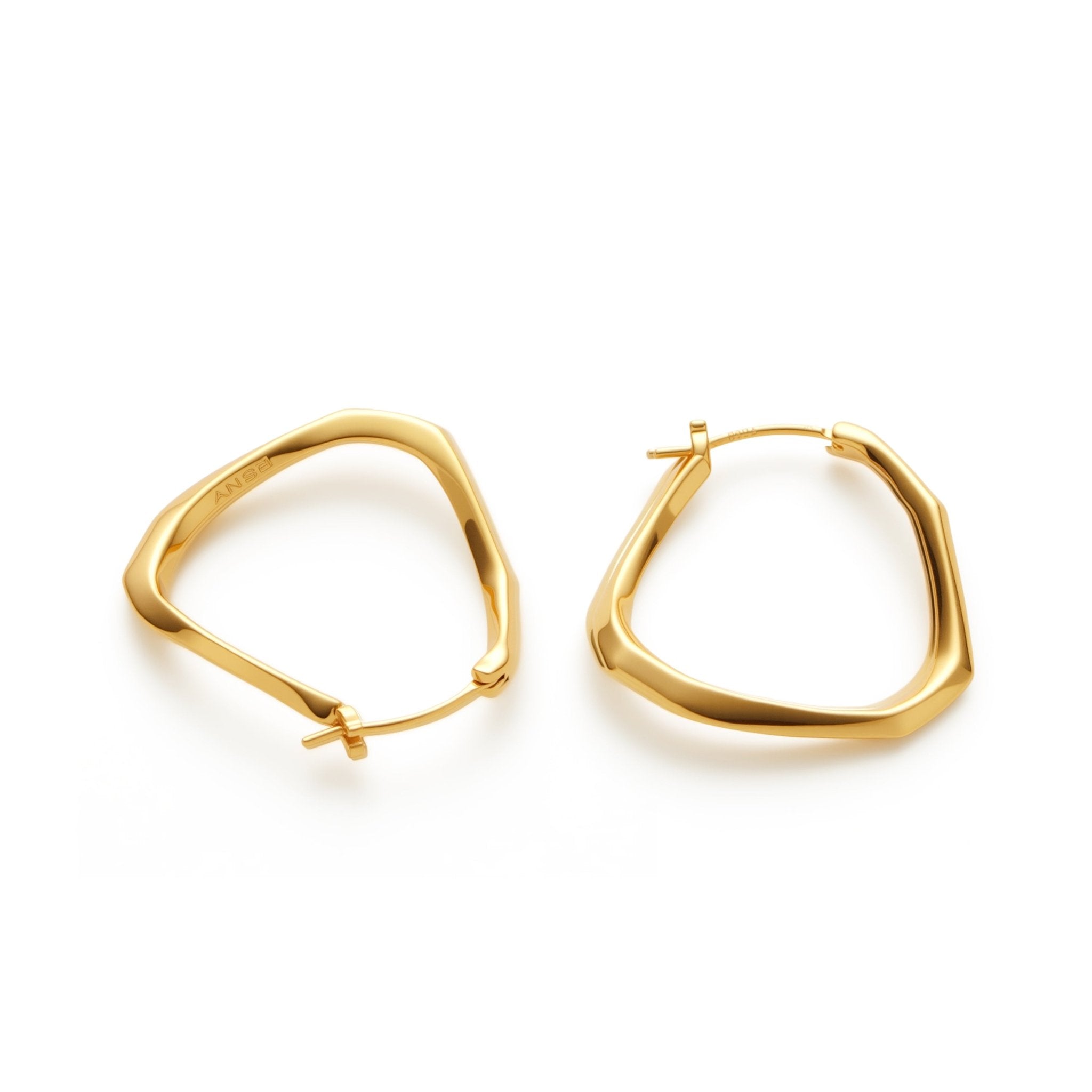 RSNY Geometric Line Earrings - R2214B