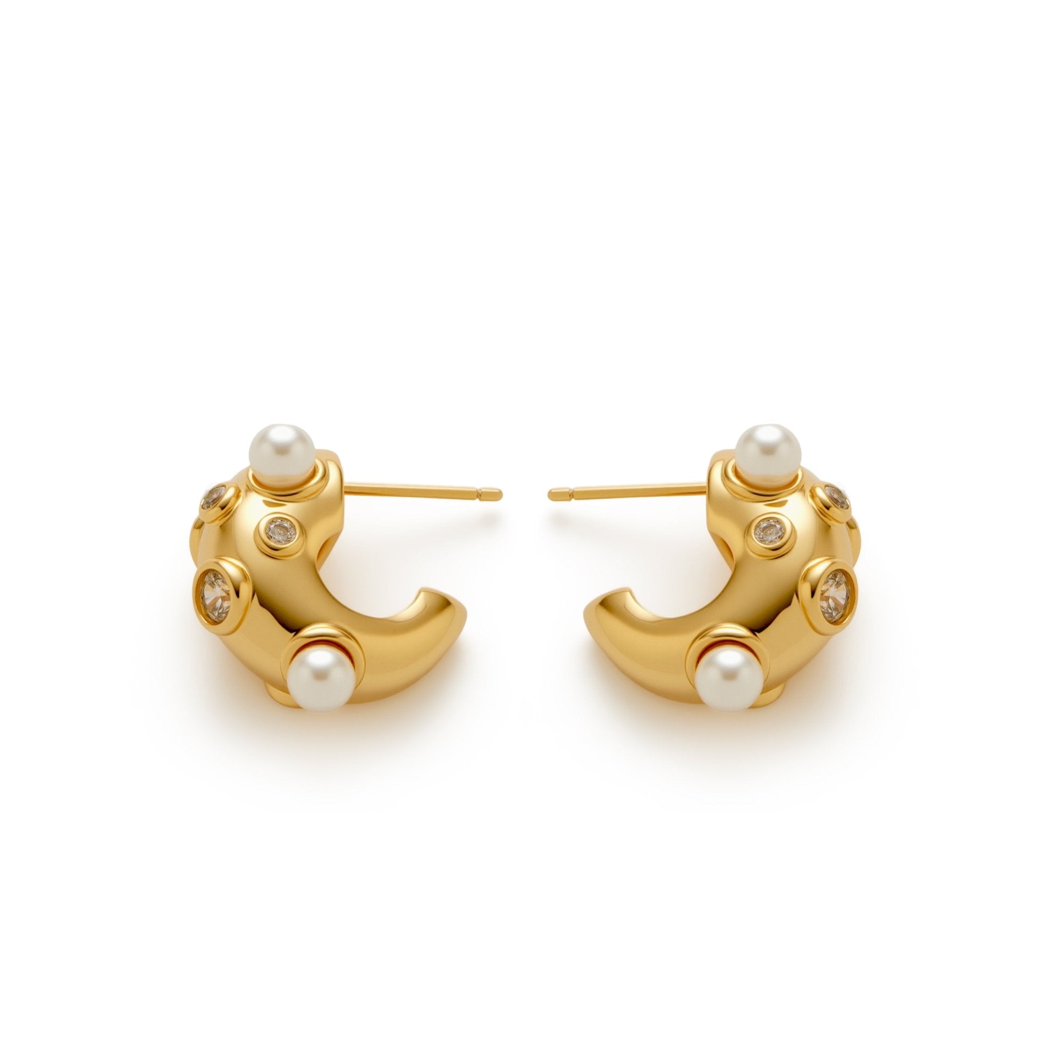 RSNY Geometric Shaped Earrings - R2234B