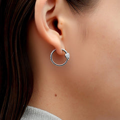 RSNY Shiny Heart Earrings - R2201A