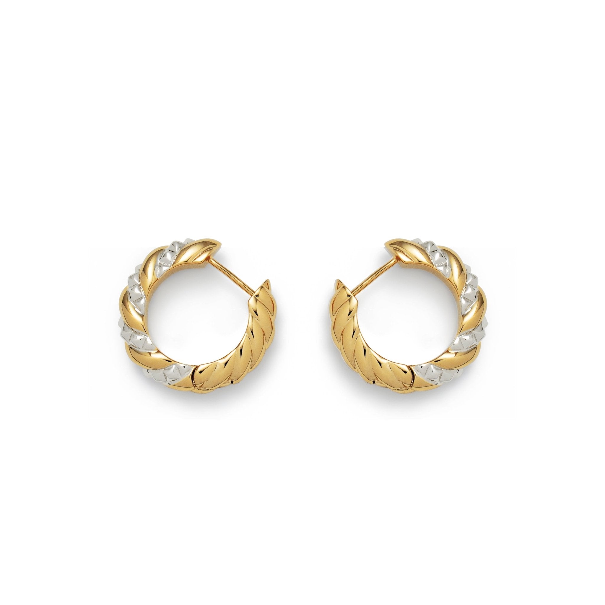 RSNY thick double strand earrings - R2043A